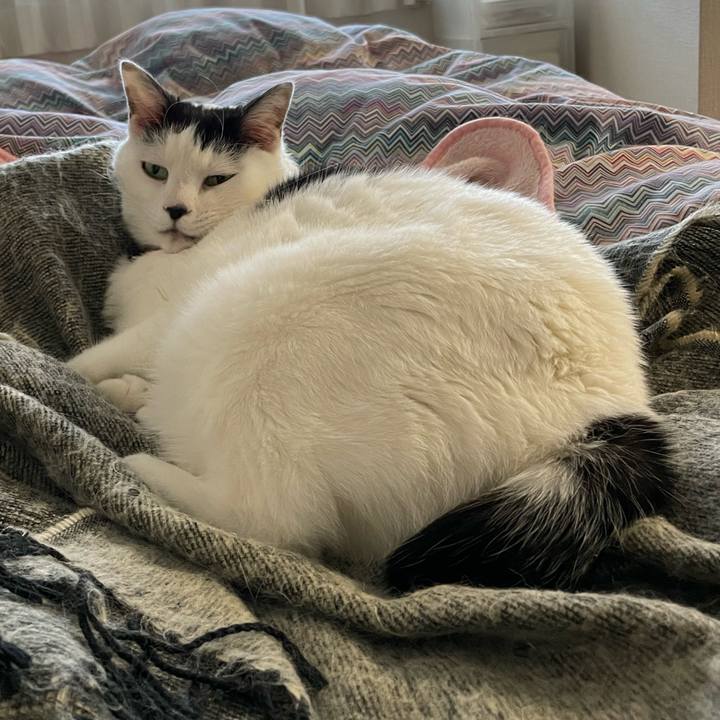 9803731d d3c6 4480 bc19 c1923552001a 1639524953654