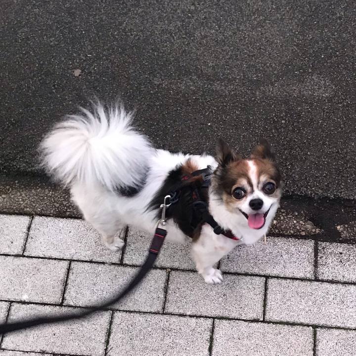 98037a48 045c 4428 8c26 fa9488451dfa 1658233069168