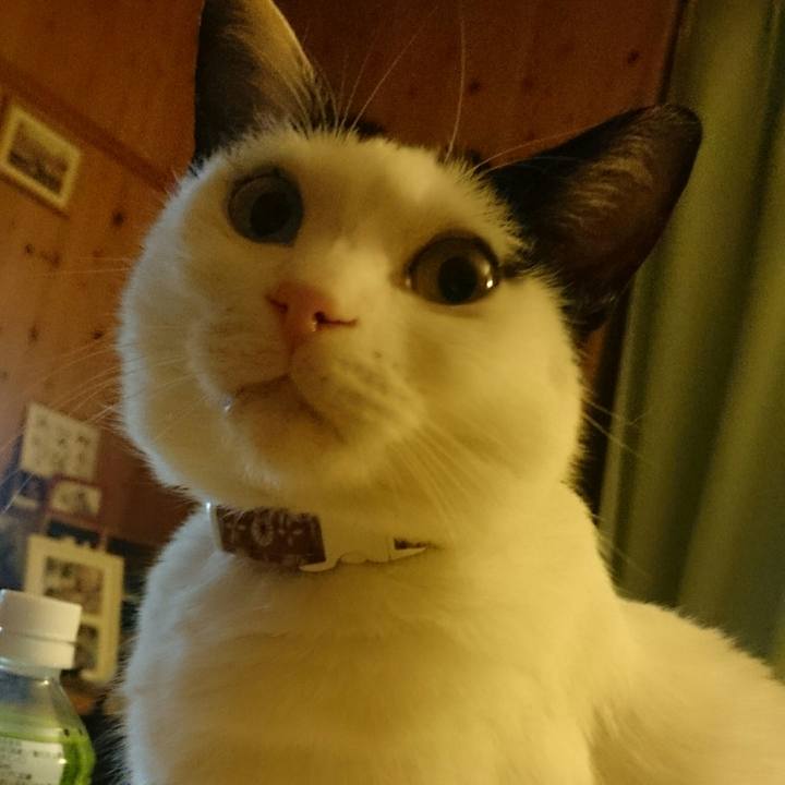 9803a8f0 5b9c 405e 9eb2 c63ab6ac7134 1511866616433