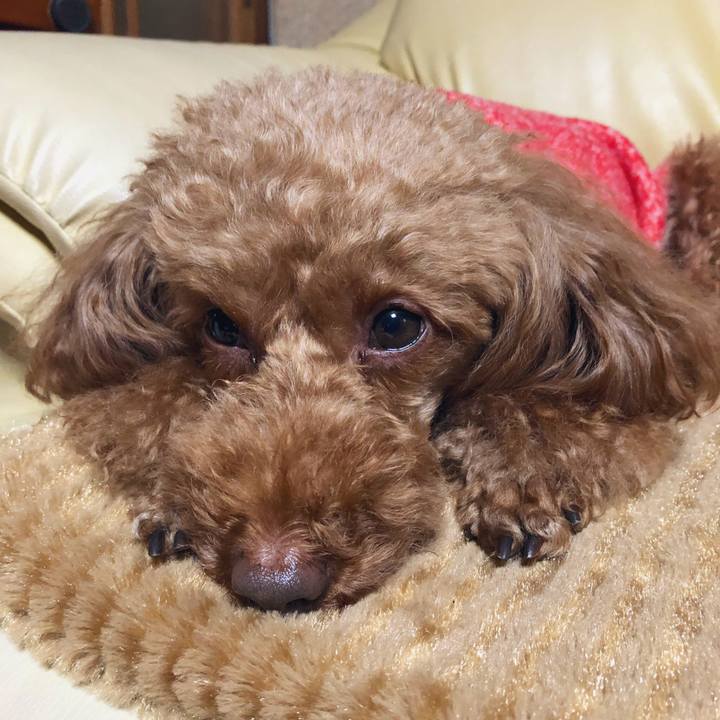 9803c385 3e91 465e 9a05 14e08ef91155 1551269145535