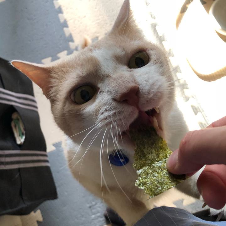 9803d1b0 16b9 4528 ac1d 984bb64f94a8 1524434245023