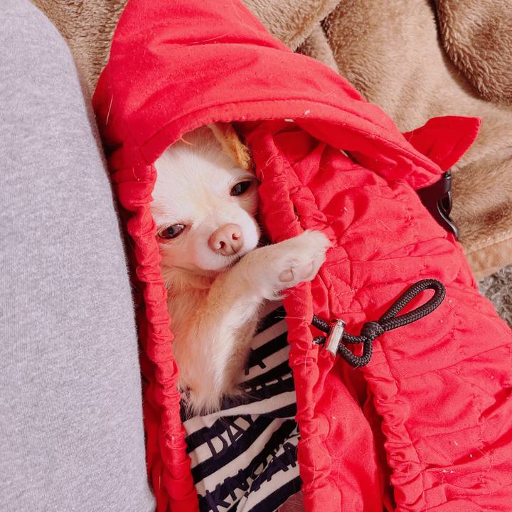 9804105c f2ef 42e6 9b59 3efd5fdadc5a 1682405131003