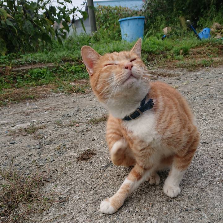 98041849 5000 4787 9cbb 08cb1e36e3f3 1568496027538