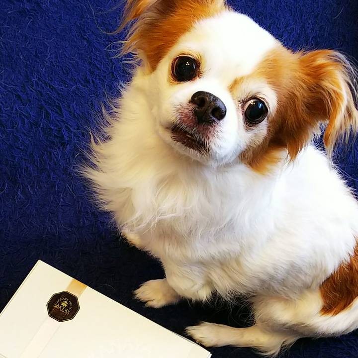 98041d57 c430 4fd3 b9ec ee8993634252 1529285595131