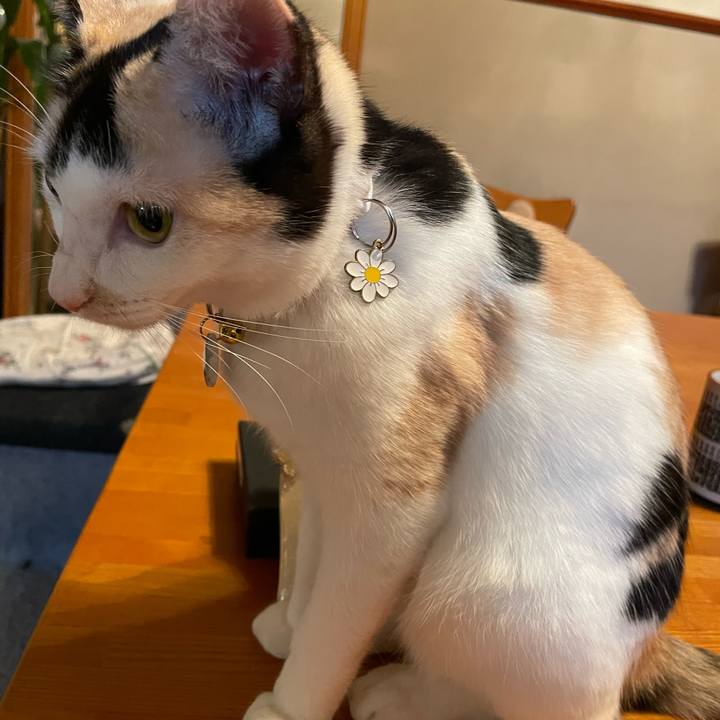 9804558e d80c 4cb9 9b70 56f83be7a44c 1673343730270