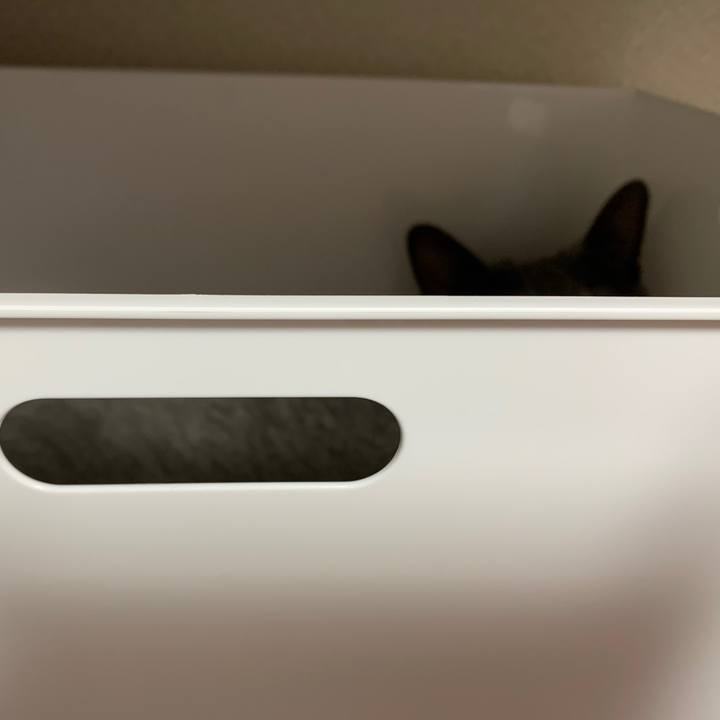 980464de eb6d 4029 a658 0342de3bb9fb 1628924672592