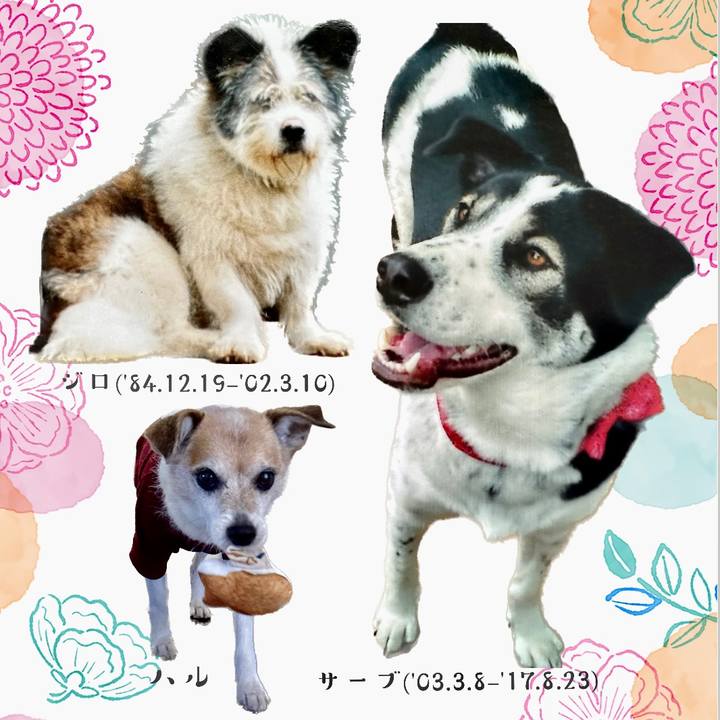 980469bb 5f6a 47df 934a a03c29b95ed2 1678320008172