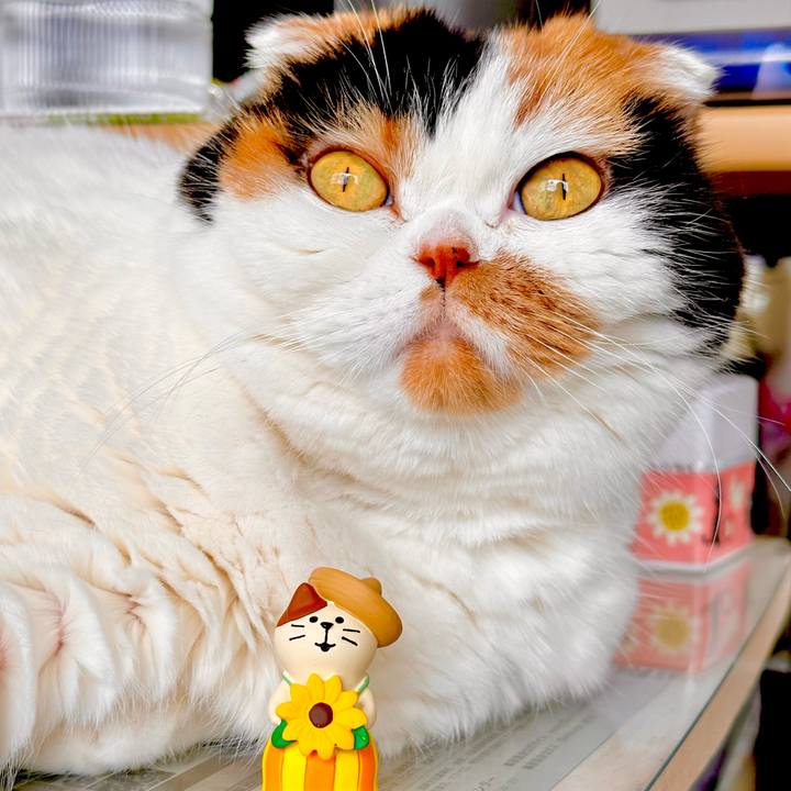 9804d7aa 628f 489e 92b5 c5b8388e6eb4 1717544760361