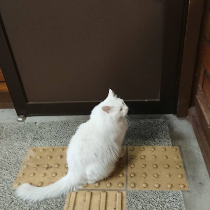 9804e184 725e 4a4b 8b17 4883a3b58d57 1551392842703