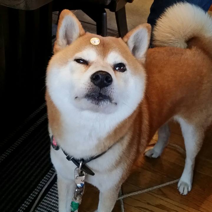 9804f198 8092 4b71 aee0 14f9e8c698f1 1508038662766