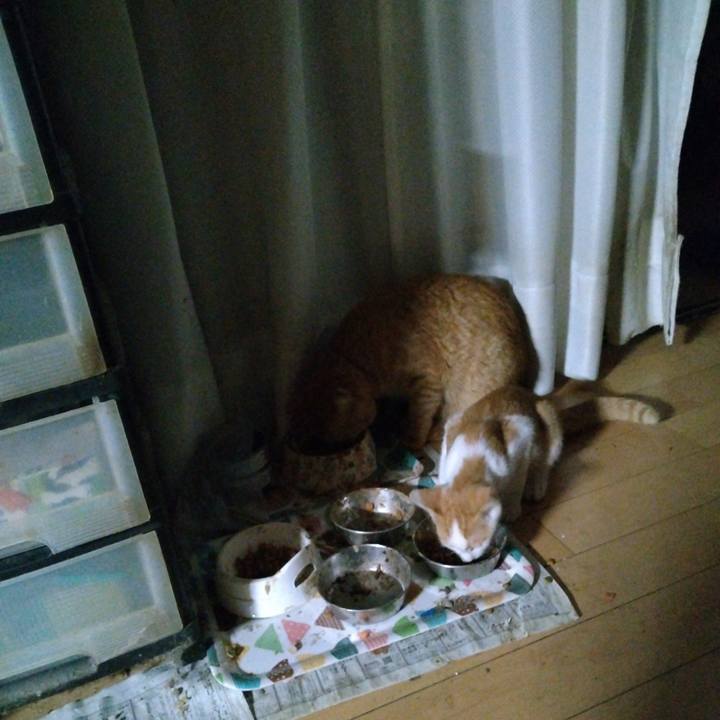 98053758 17fa 419b a9ad 04f21029b3e8 1727474934176