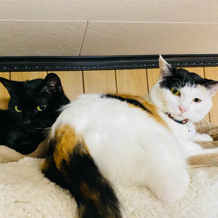 98054aec 5075 4e23 a1b6 60b63d9749e6 1671022721266