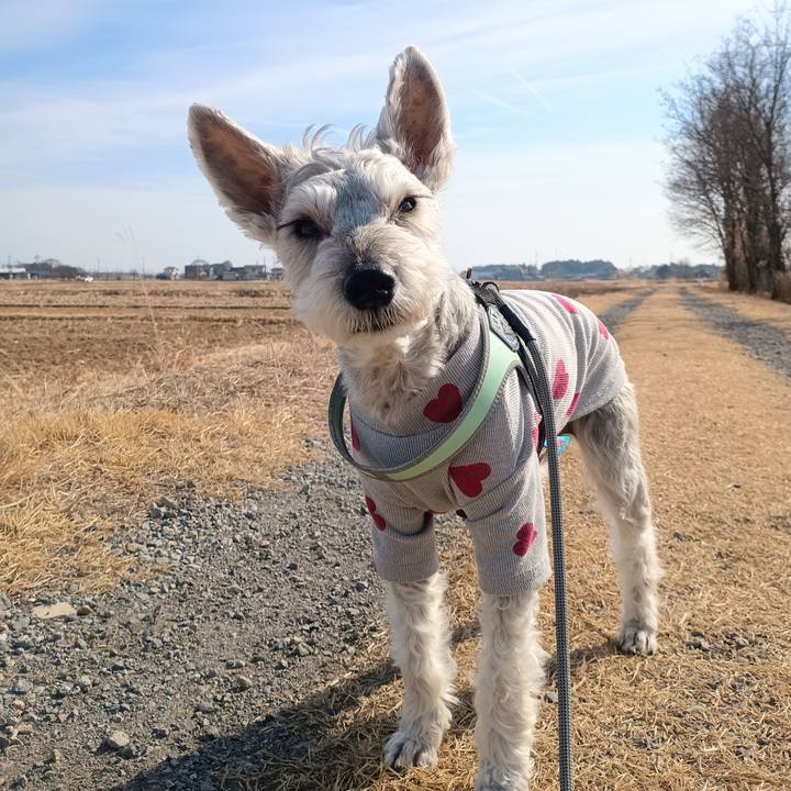 9805aa5c f2b7 488f 9008 ec4707e60b1d 1771071544367