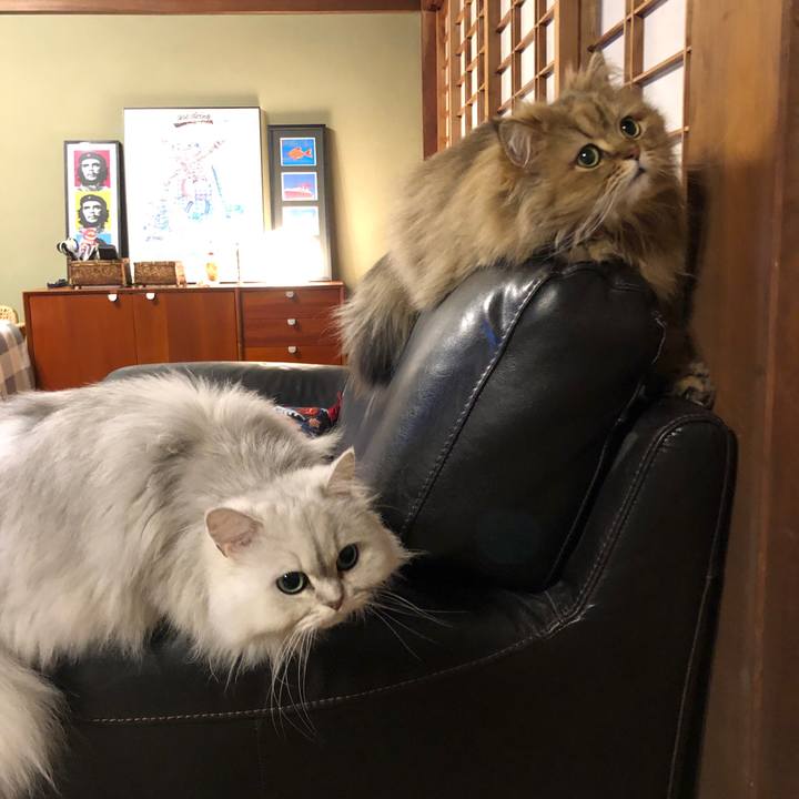 9805accf 0fb5 4647 b4af 0bc3aa15b657 1588506547769