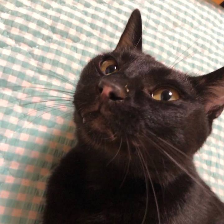 9805b6b7 4cf3 4e48 9cdb 09e064fced27 1660135125171