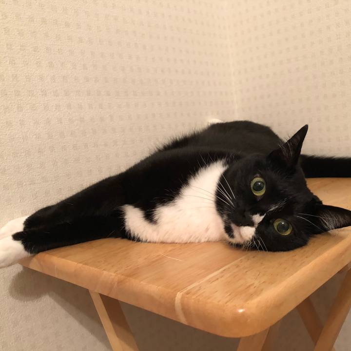 9805d9a6 e38a 4682 9b3e 6165037aaa93 1558133277784