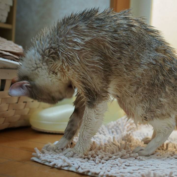 9805f9b9 6489 4364 a6fe 08daaa6d2725 1525571023221