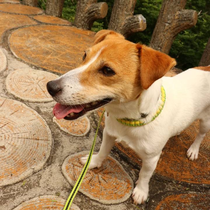 9805fd24 4459 45cf 817f dea0b38f413b 1593241717438