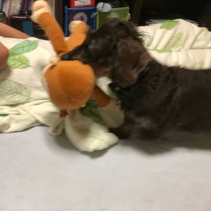 980606d6 13ee 4d34 9d59 f0813a590a83 1563290063327