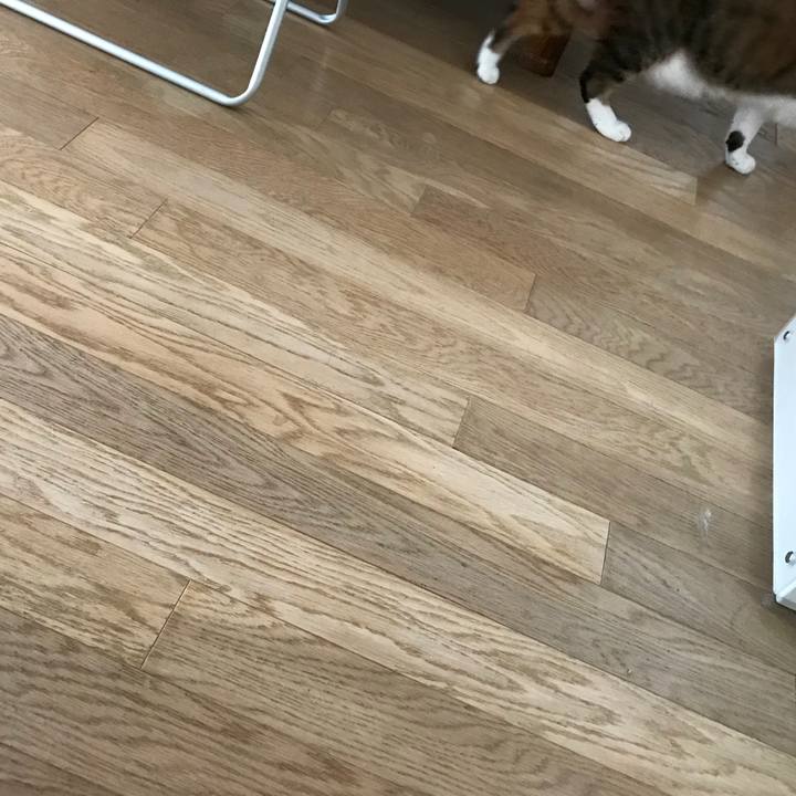 98060a50 d63a 4472 ab37 b4554ce026e2 1556079498169