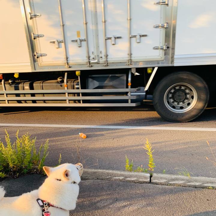 98061e9c 9152 4c72 8e4d f4d15e37b0bc 1602285960792