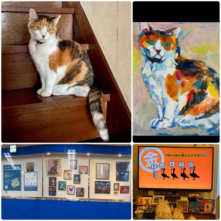 98064348 efa6 4273 9ba1 bb0f5eb93c5e 1770333292516