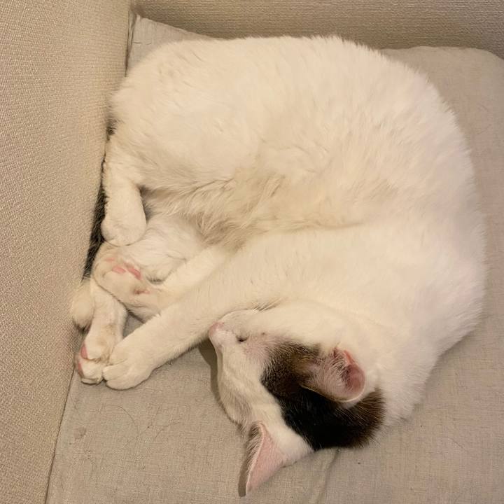 9806bba4 75e3 49fa b3a6 edf7dabcf722 1690682524632