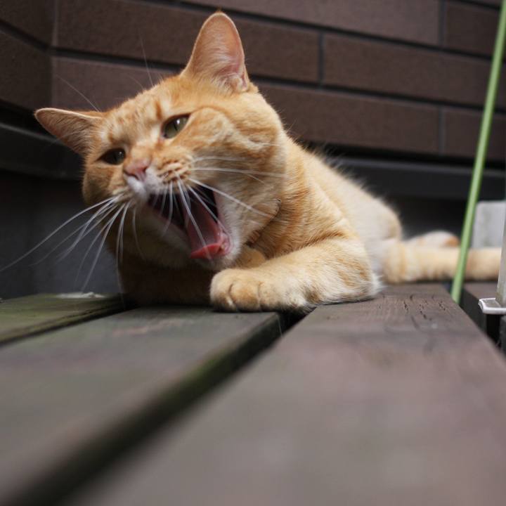 9806cd88 f136 45a4 b5f6 9cc5d8fa2c78 1725684395795