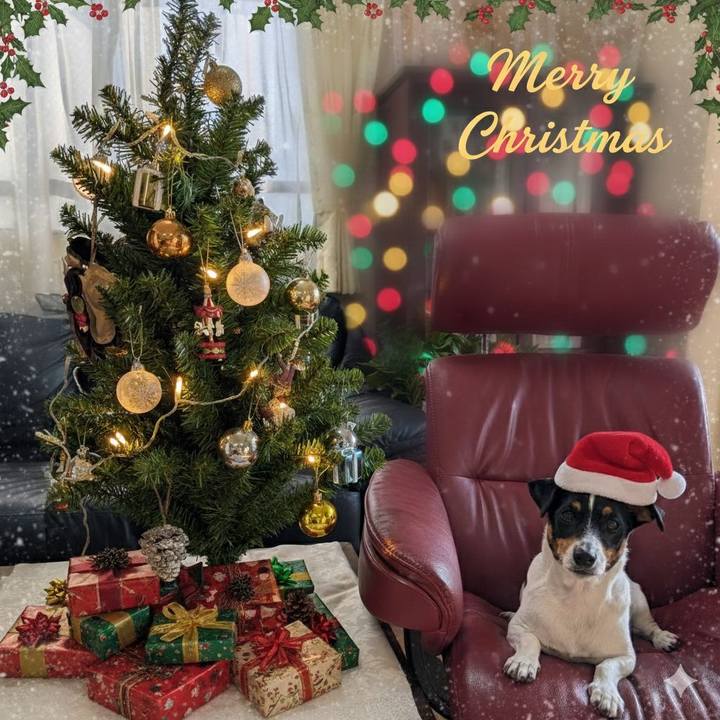 9806e7ad 8e62 4b68 a32b 52ef90e07b5f 1766540667051