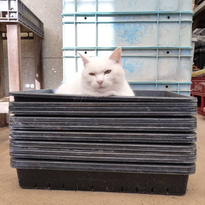 980713df 3f67 44a3 b251 b32735311117 1765338236128