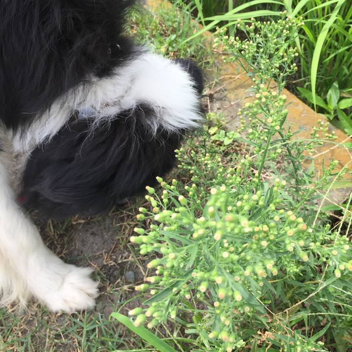 98072fda 7013 4cce 9737 f4d03045bde2 1564201802117