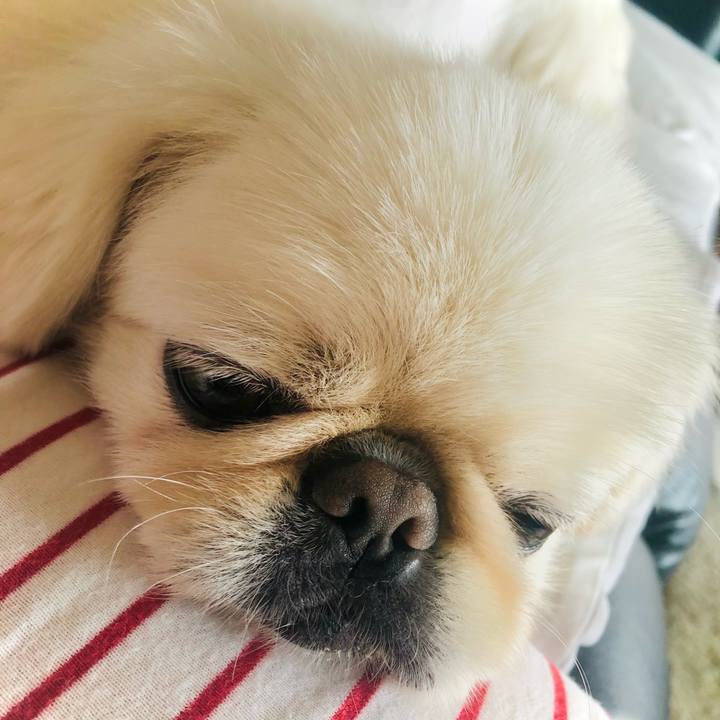 980741ac c572 4175 9a8a 26b10c58cb31 1630207001142