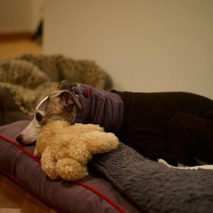 98074bd2 309c 4bb2 b28f d3b8bd81c61a 1512469015968