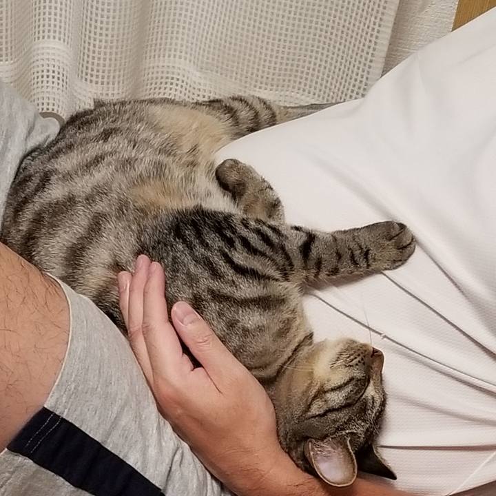 98076e0f 8b4d 45ab 8d17 016360452cc9 1688730108828