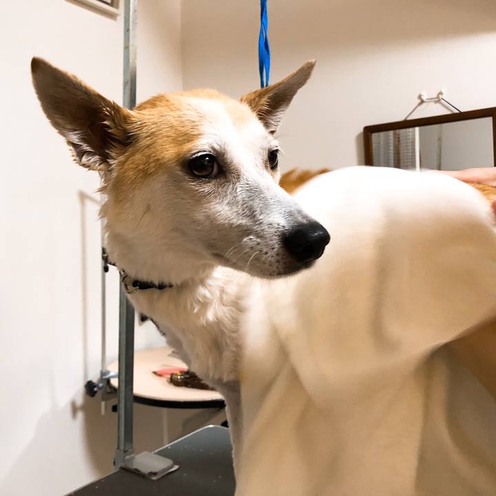 98076f98 f61d 4449 97a8 2bf796f8c477 1591919064359