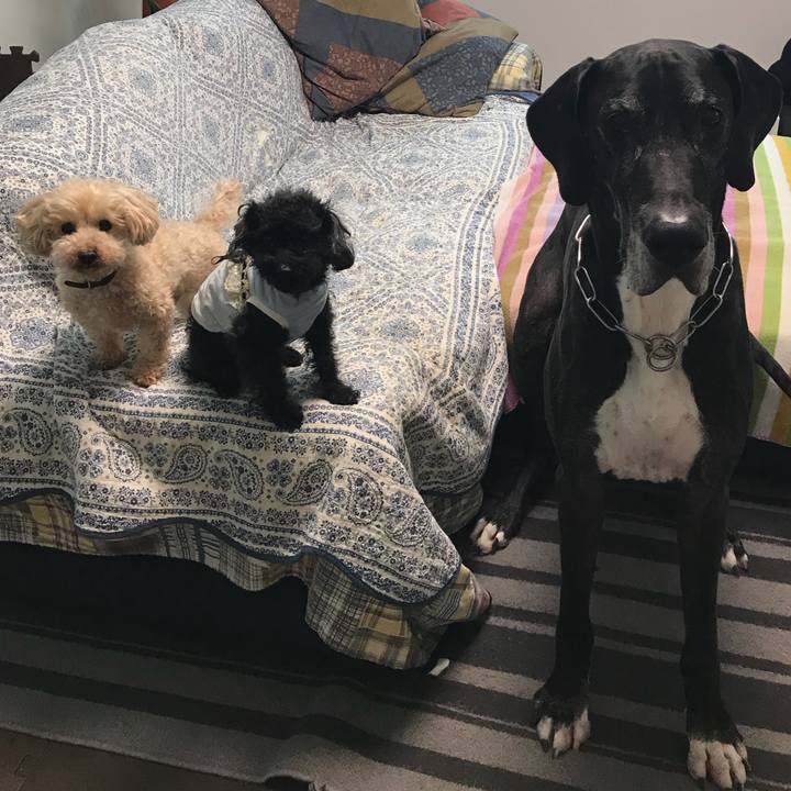 98078d7f d43b 424f b970 69f4ddc96051 1527721090105