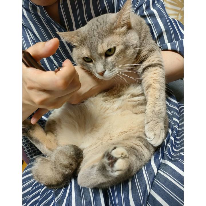 9807d58e 5500 425b 94e5 f7a0ed8762f4 1663215926047