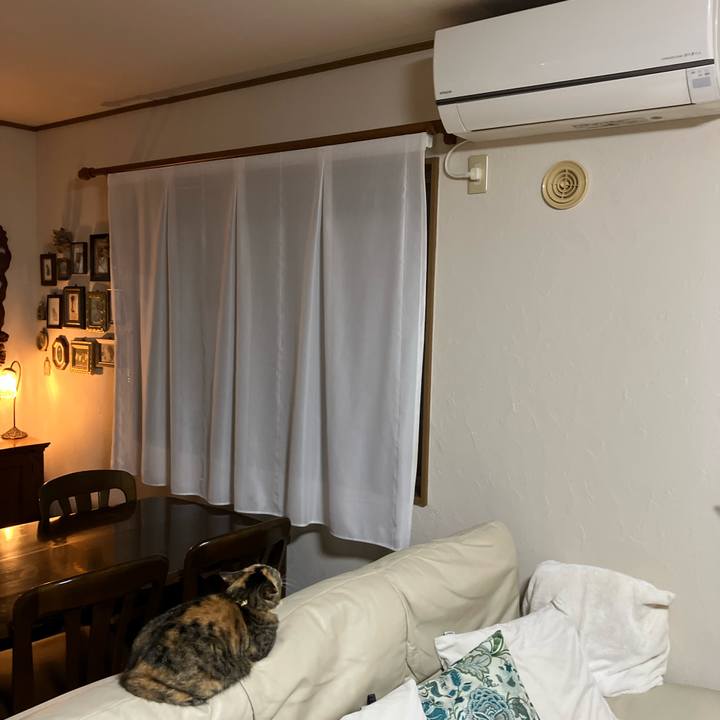 980826b7 367c 44bc b3ab 92d1f33b925d 1774213644197