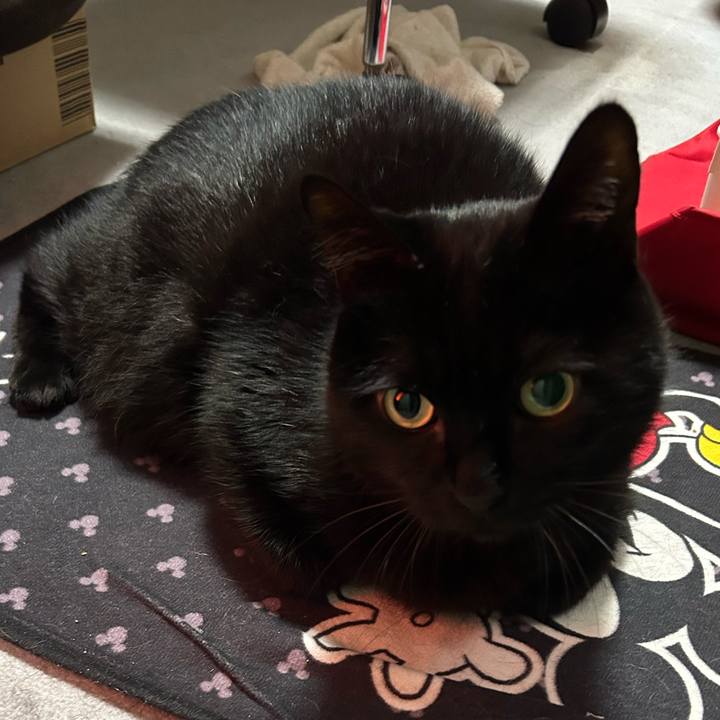 9808420f 113b 4e8d b1fb 6cf616fda669 1767096447631