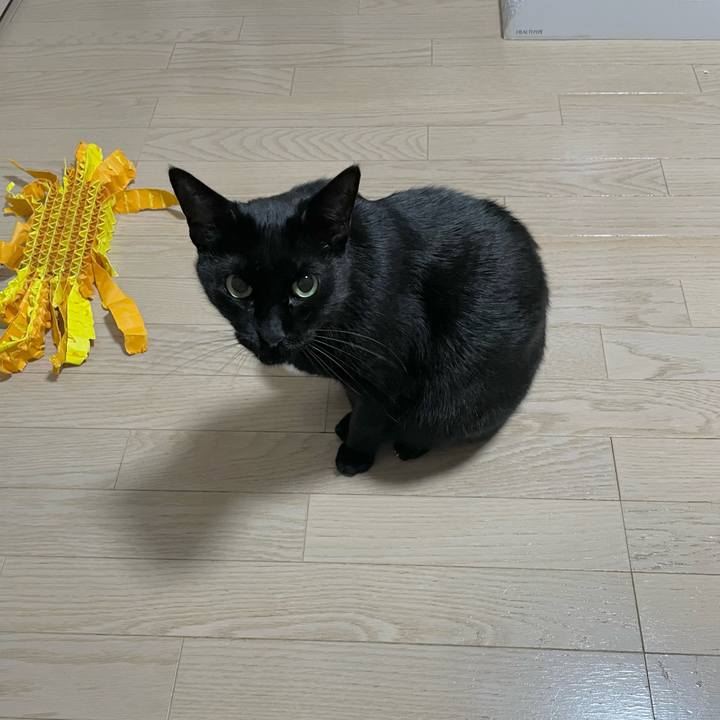 98084410 e09e 49a3 ae66 9508d25e1651 1698148316607