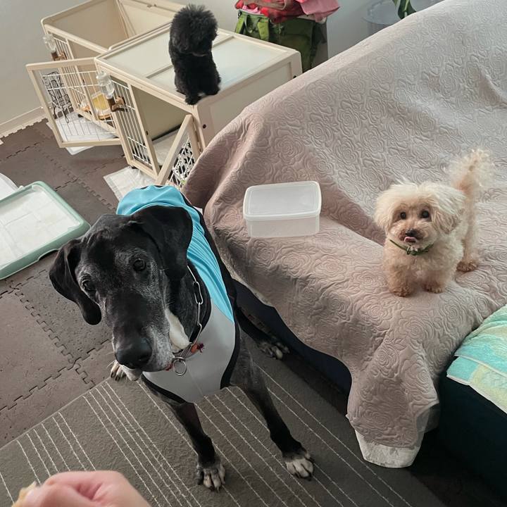 98084ca0 4c61 4f0b be64 13f7cad51552 1626566931785