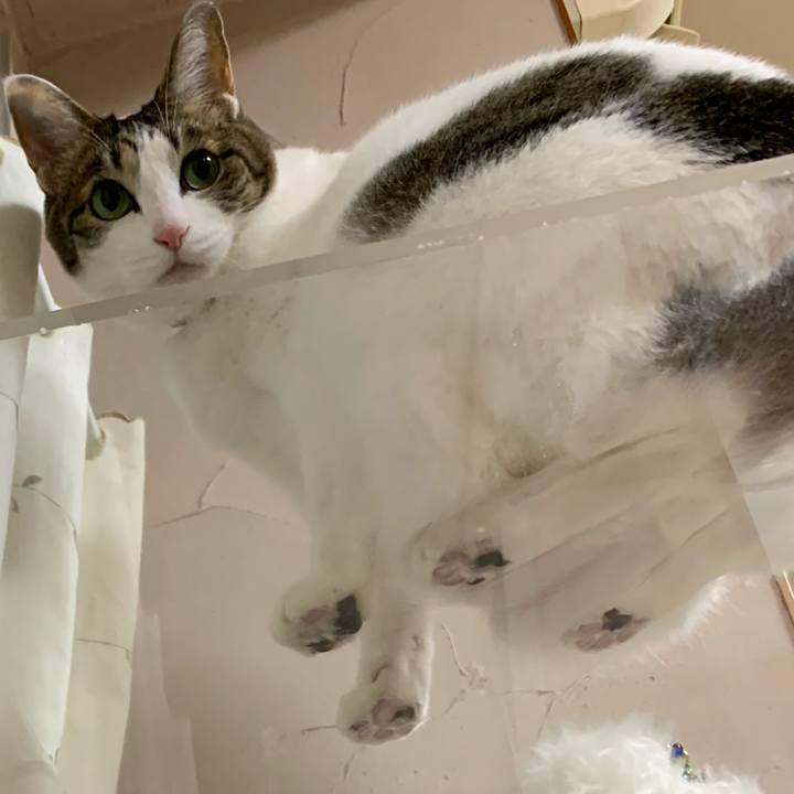 980855f8 21af 4e55 a66f 2d793fe4b1c4 1638187050316