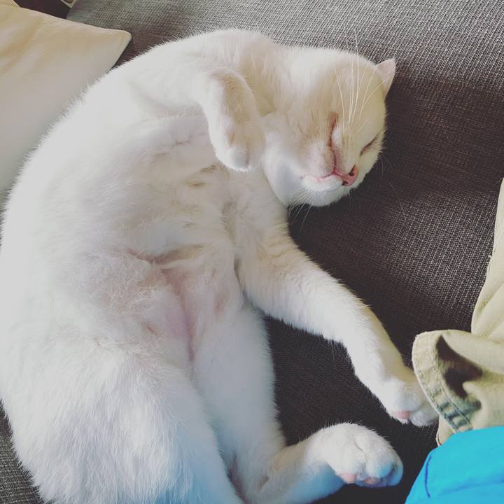 9808739c 9030 41ab b5f3 95d9871bfbd4 1594513857774