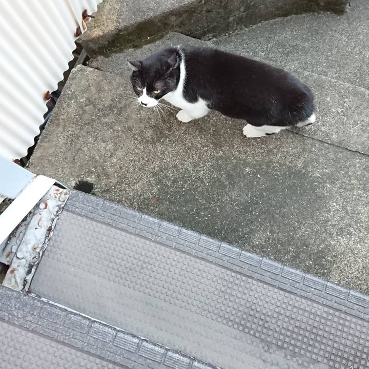 98087490 b906 4496 a74c c84bda6aa41c 1664368190032