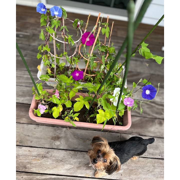 980875d2 9c73 4d2c b10a 587fb91b9200 1722035953897