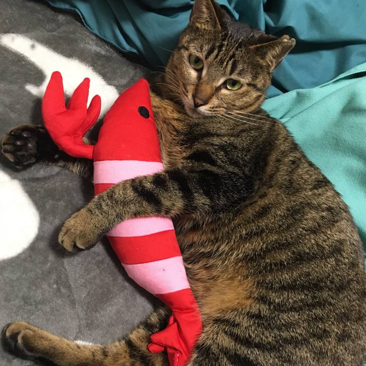 9808816d f8b3 49c5 91cc e62375b2411f 1519393124595