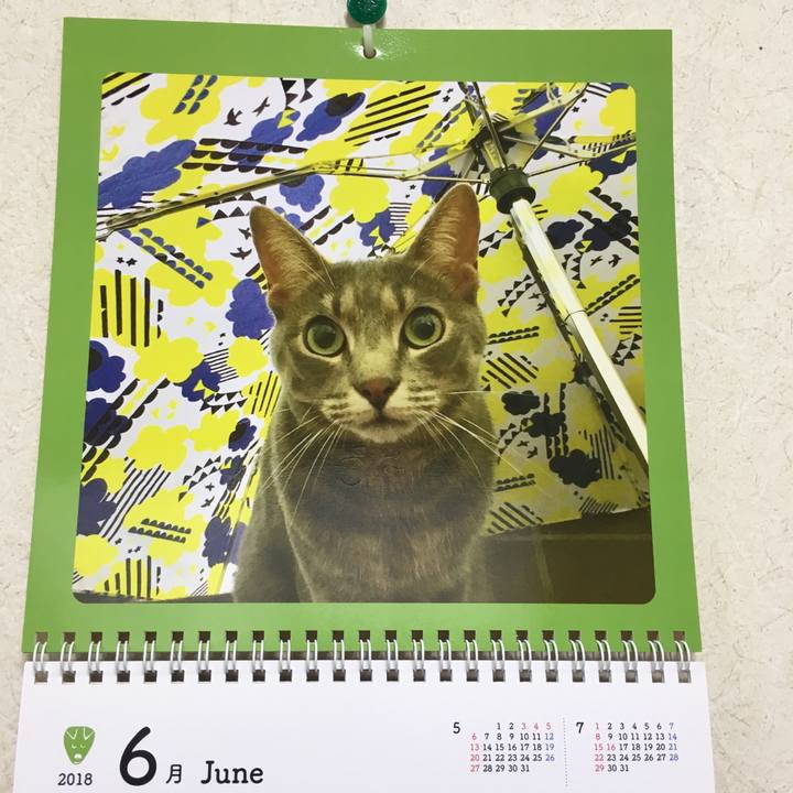 980890c2 c099 44b4 b286 d22bfbd69dd2 1527899360878