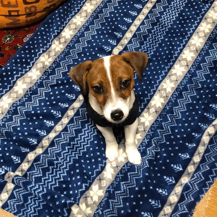 98090759 787c 4f16 a460 35f35951ba45 1515383941960