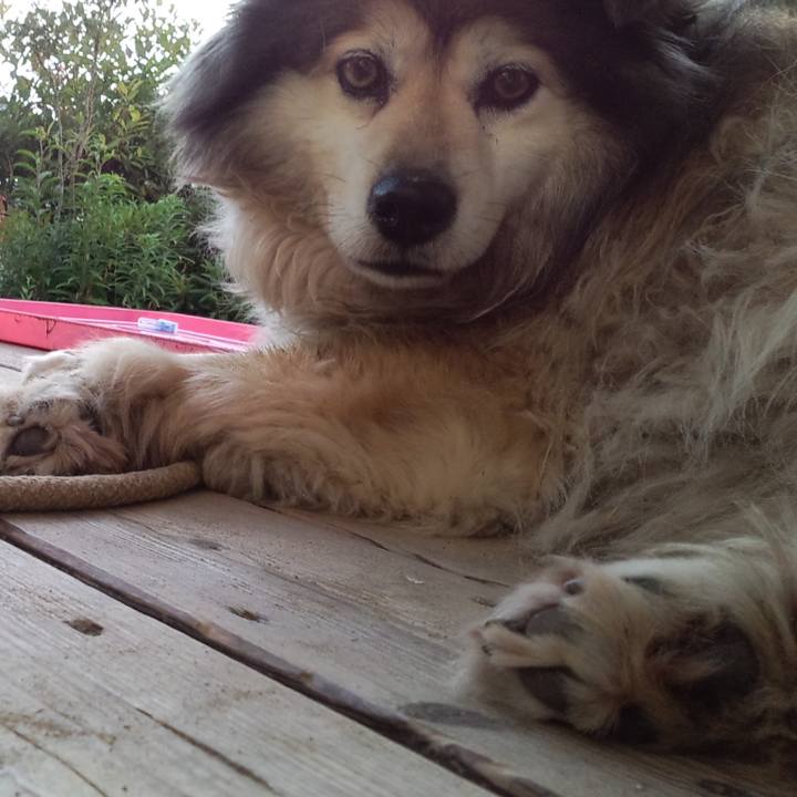 98090844 41e0 4242 9dac ec34f6607e71 1565656362359