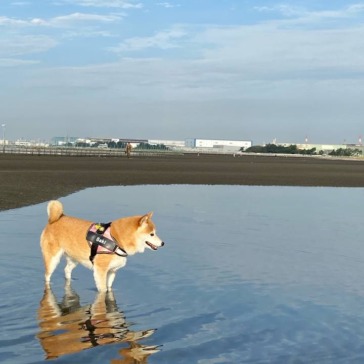 980955d1 e325 4010 9990 53dae3da8a41 1660951759694